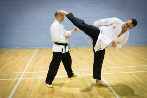 Shikkari Karate Kai-4-4